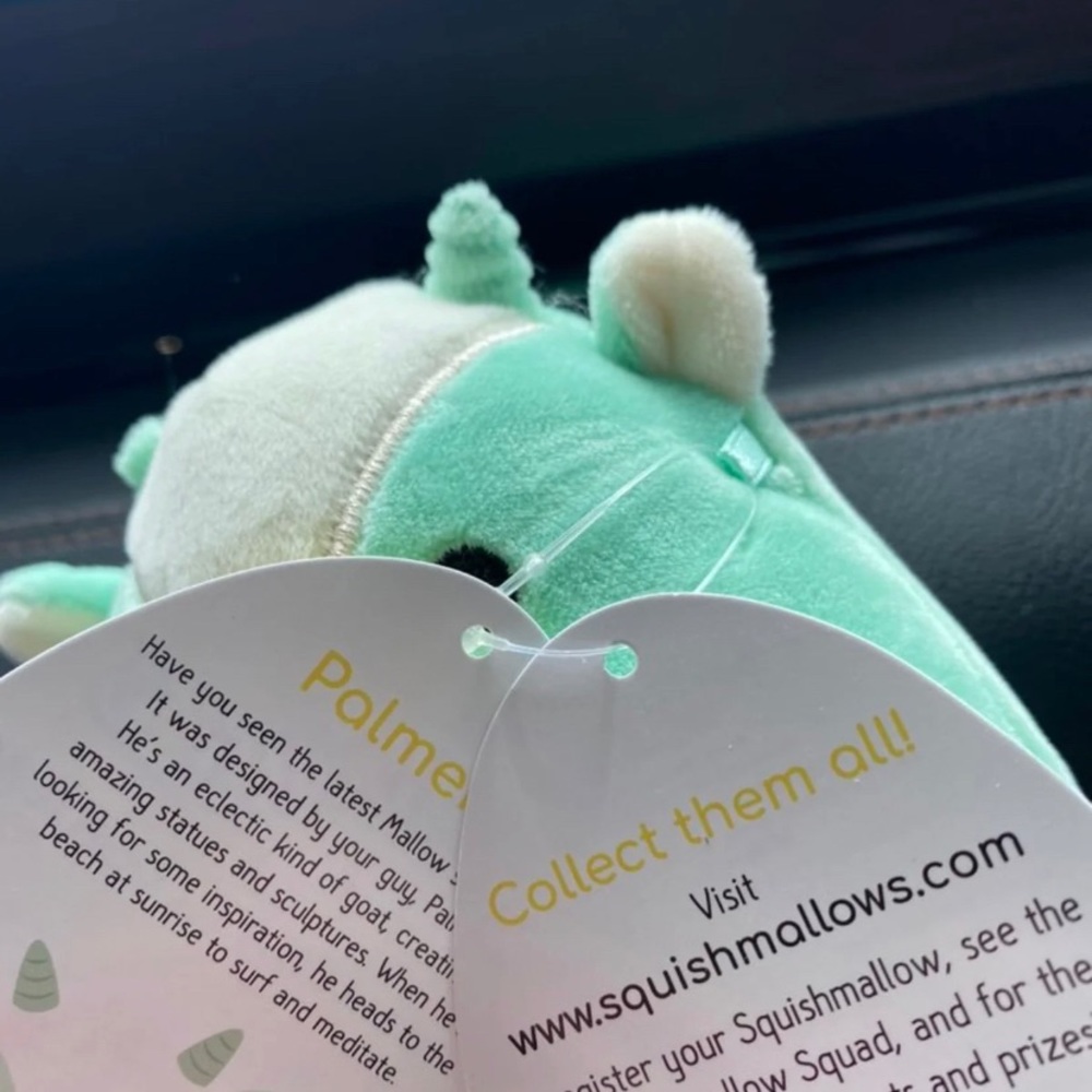 squishmallow - Picture 2 of 2